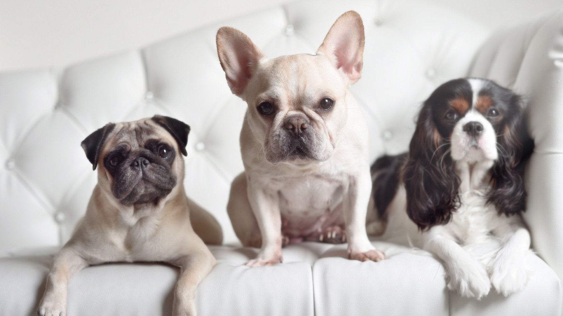 世俱杯2025赛程-国际天悬飞索竞速赛，极速飞跃挑战极限